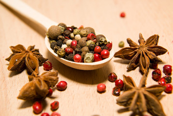 spoon filled with a mixture of grains of pepper and star anise o