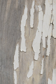 damaged wood texture background