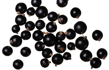 Black currants isolated on white