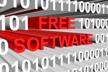 free software is presented in the form of binary code