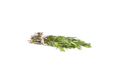 Fresh green sprig of rosemary isolated on a white background