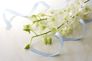 ギフトイメージ