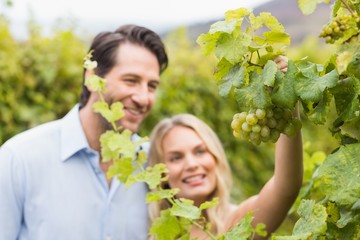 Young happy couple looking at grapes