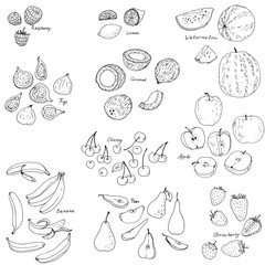 froots and berries vector set