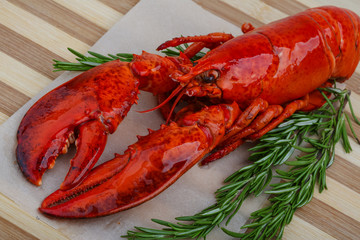 Lobster