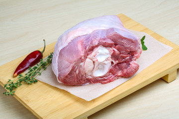 Raw turkey leg