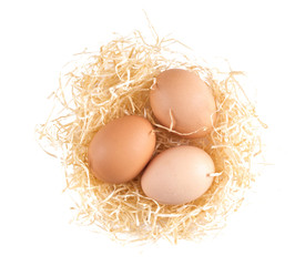 The eggs in the nest. Three eggs lie in a top view of the Seine.
