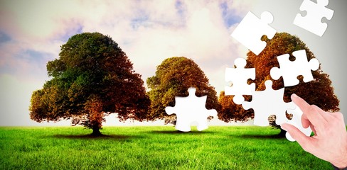 Composite image of a puzzle