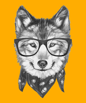 Prtrait of Wolf with scarf and glasses. Vector isolated elements