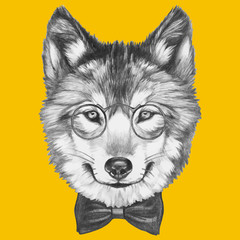 Prtrait of Wolf with glasses and bow tie. Vector isolated elements