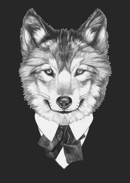 Prtrait of Wolf in suit. Vector isolated elements