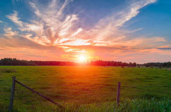 Fototapeta Beautiful orange sunset over the green fields.