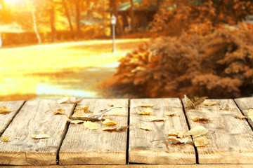 autumn background 