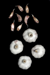 Garlic isolated
