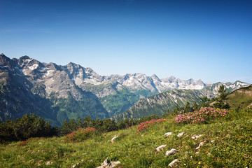 Fototapeta na wymiar Alpine moutains in Tyrol Austria