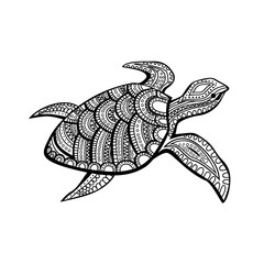 Fototapeta premium Stylized turtle. 
