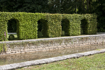 Obraz premium Formal hedge forming archways