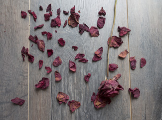 dry rose petals 