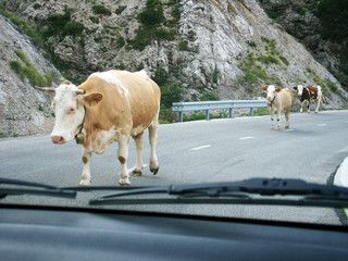 Unterwegs in den julischen Alpen