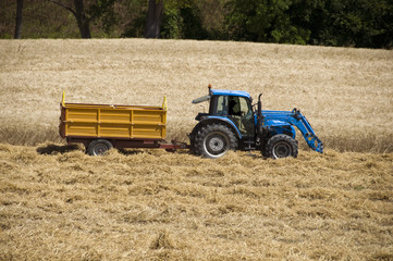 Obraz premium Lavori agricoli