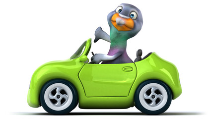 Obraz premium Fun pigeon