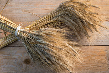 sheaf of barley