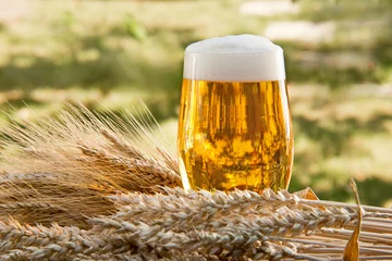  bierglas en grondstof voor bierproductie © Václav Mach