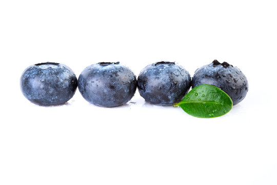 Fresh Blueberries Straight Line