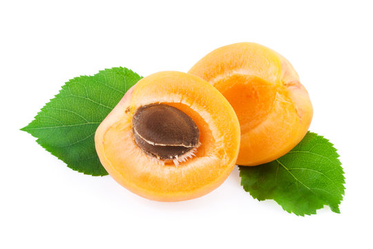 Apricot with Green Leaf Isolated