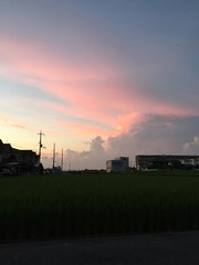 夕焼け