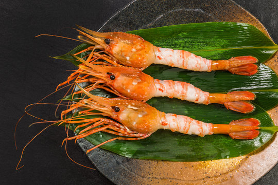 えびの刺身 Sashimi Of The Pandalus Nipponensis Stock Photo Adobe Stock