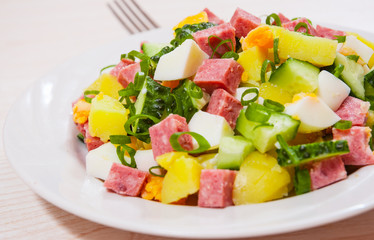 Fresh salad with potato, egg, salami, cucumber and green onion