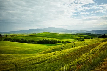 Foto op Plexiglas Groene Toscaanse heuvels © ZoomTeam