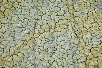 detail of a cracked earth