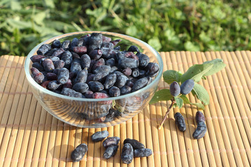 The honeysuckle berries lying in a glass plate on a table in a garden
