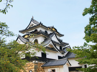 Castle "Hikone"  tower