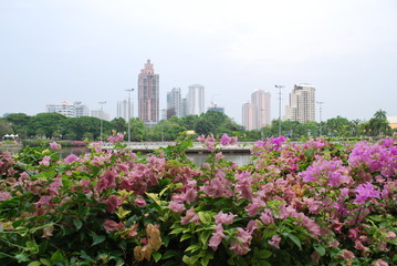 Naklejka premium Lake garden