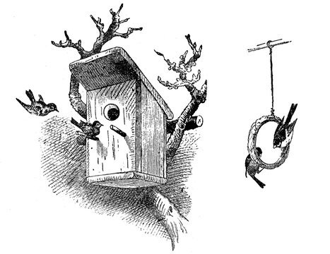 Bird House Engraving Images – Browse 983 Stock Photos, Vectors, and Video |  Adobe Stock