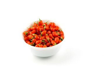 Goji the fruit of life