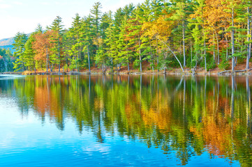 Pond in White Mountain National Forest, New Hampshire