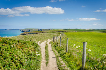 Fototapeta na wymiar Clifftop Path along the Coast of Cornwall