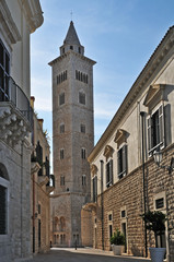 Fototapeta na wymiar Trani, la città vecchia ed il campanile della Cattedrale - Puglia