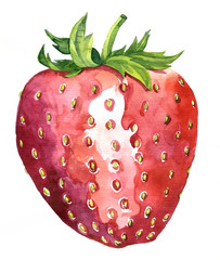 watercolor drawing strawberry