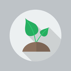 Eco Flat Icon. Plant