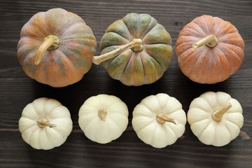 Squash and pumpkins