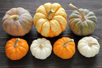 Squash and pumpkins
