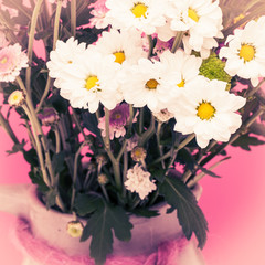 Detail - Blumen im Krug