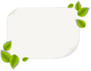 Realistic Leaves Background with  Space
