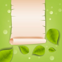 Realistic Leaves Background with  Space
