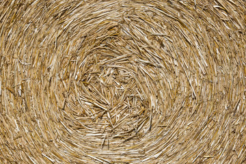 bale of straw details